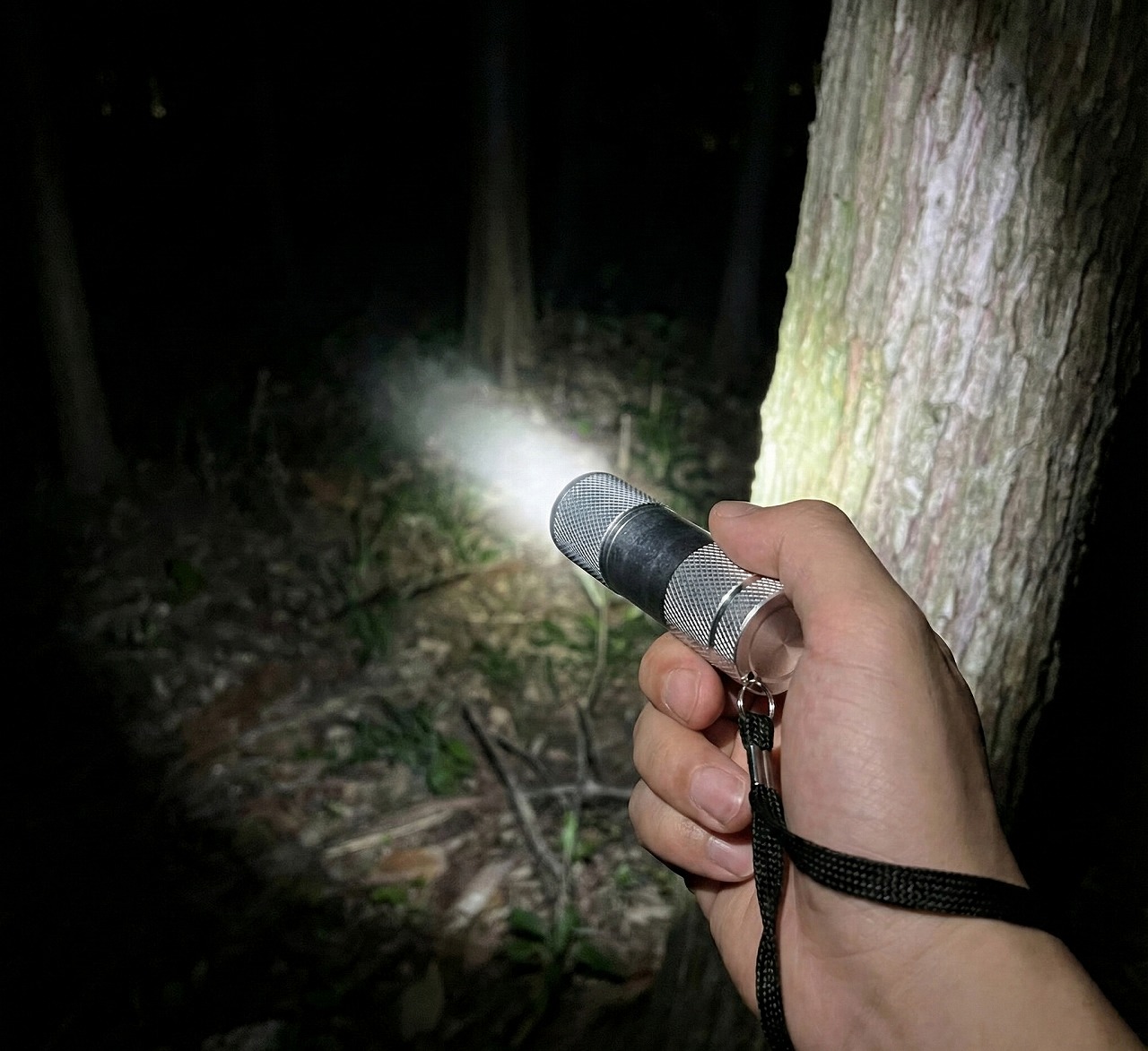 9LEDパワーライト